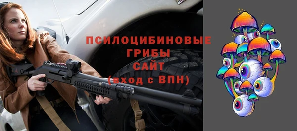 прущие грибы Алексеевка
