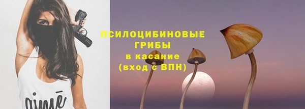 индика Алзамай