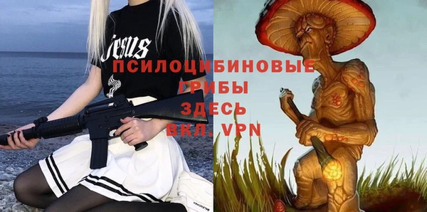 прущие грибы Алексеевка
