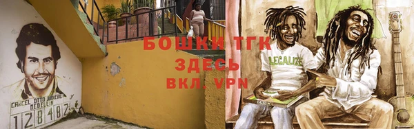 прущие грибы Алексеевка